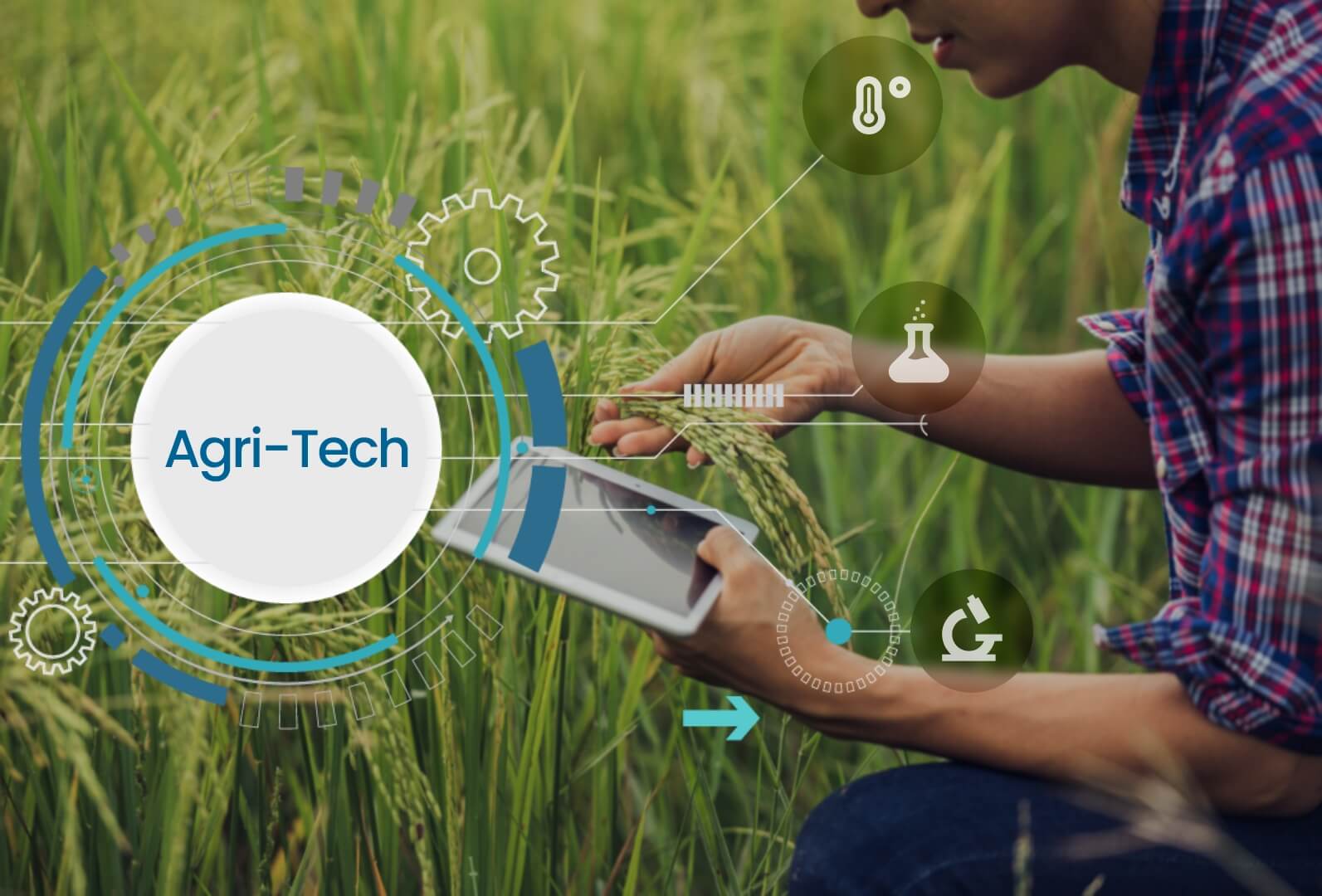 Agritech for traditional farming methods to be more profitable